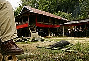 Buka Tana Toraja, Sulawesi, Indonesia