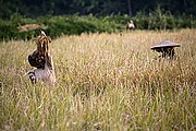 Bori, Sulawesi, Indonesia