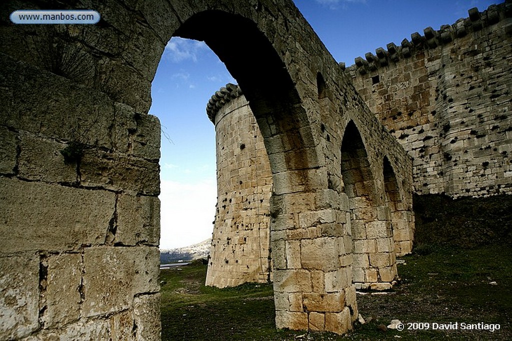 Crac de Los Caballeros
Crac de Los Caballeros
Crac de Los Caballeros