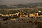 Palmira, Palmira, Siria