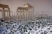 Apamea, Apamea, Siria