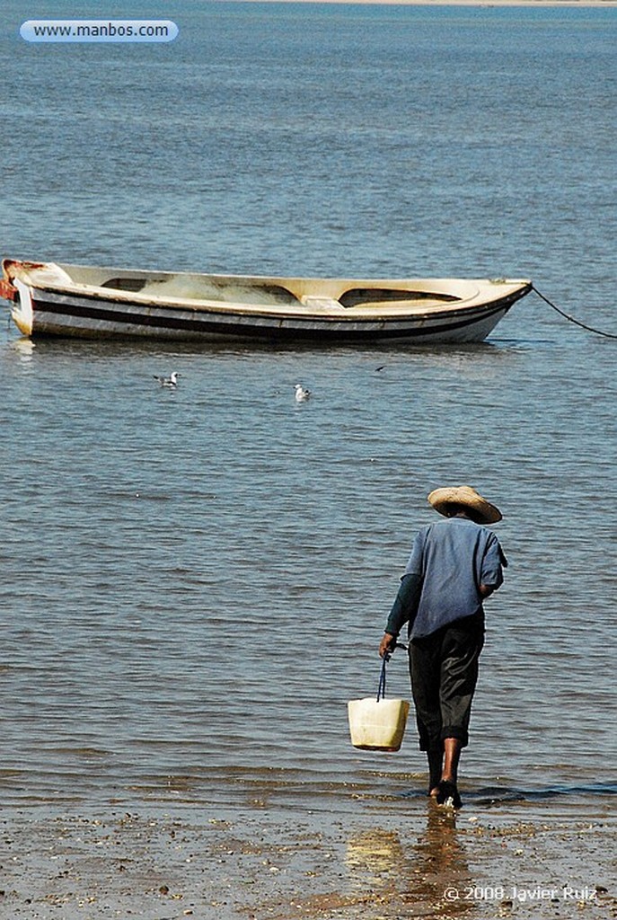 Costa do Sol
Mozambique