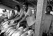 Mercado de Peces, Costa do Sol, Mozambique