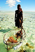Pemba Nampula Ago, Pemba Nampula Ago, Mozambique
