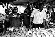 Mercado de Peces, Costa do Sol, Mozambique