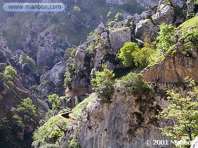 Ruta del Cares
