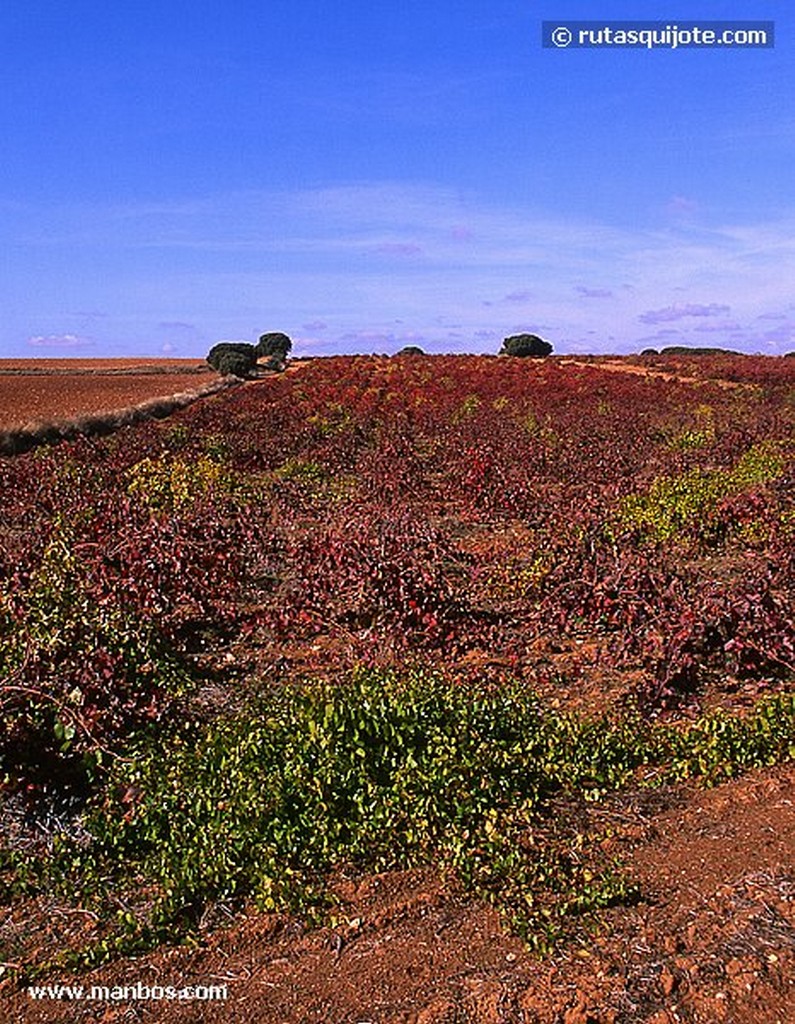 Carrascosa de Haro
Cuenca