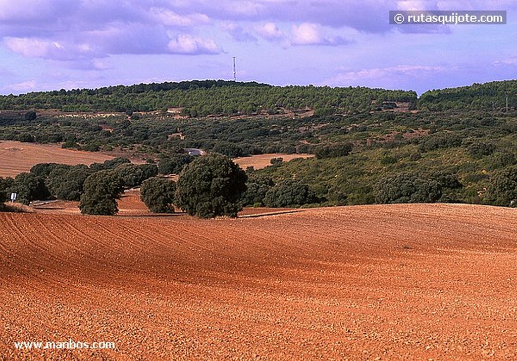 Rada de Haro
Cuenca