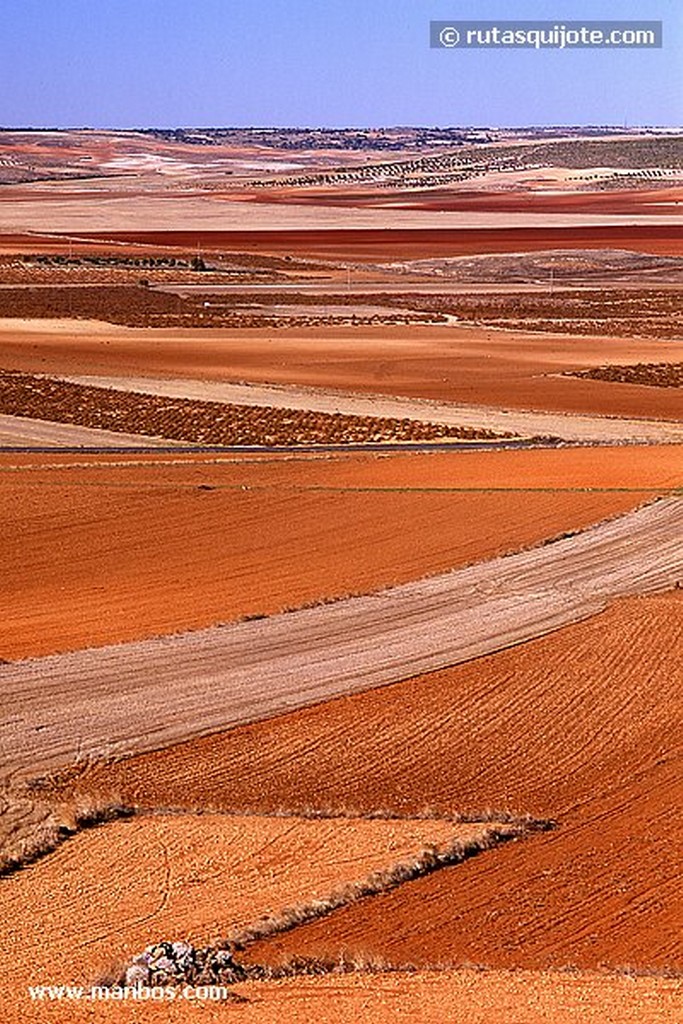 Monreal del LLano
Cuenca