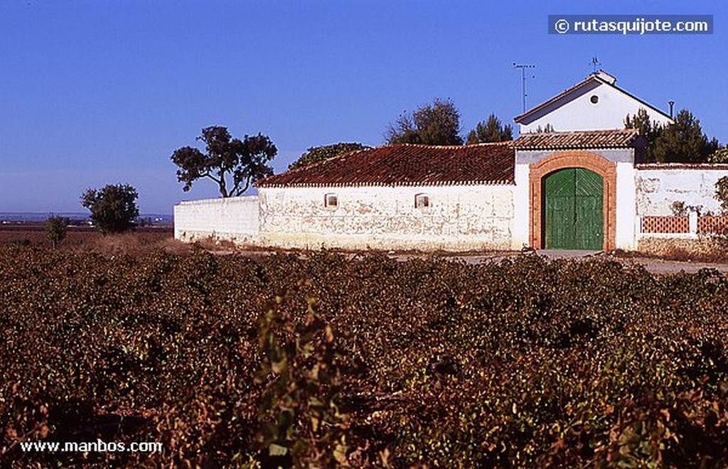 Pedro Muñoz
Ciudad Real