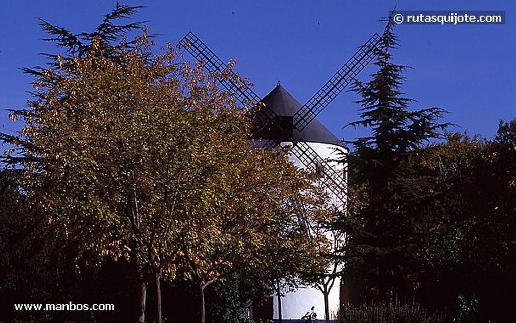 Socuellamos
Ciudad Real