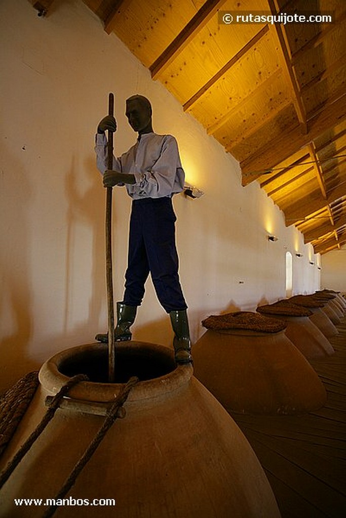 Valdepeñas
Museo del Vino
Ciudad Real