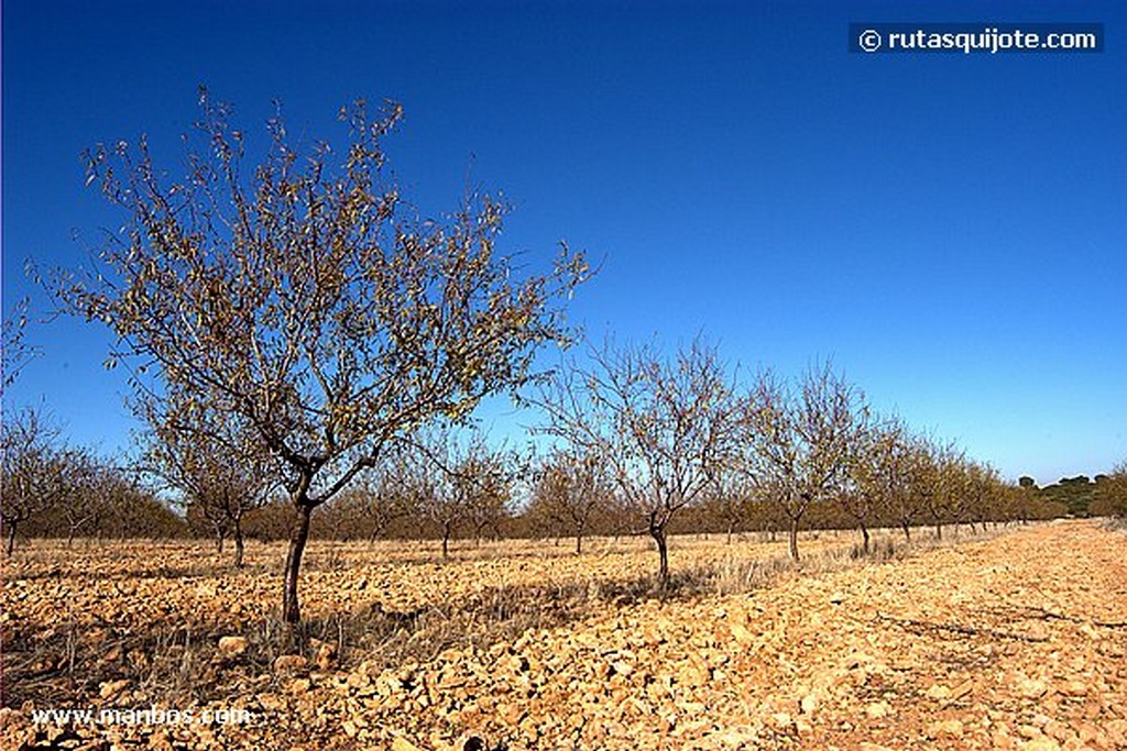 Munera
Albacete