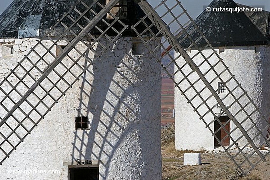 Consuegra
Molinos de Consuegra
Toledo