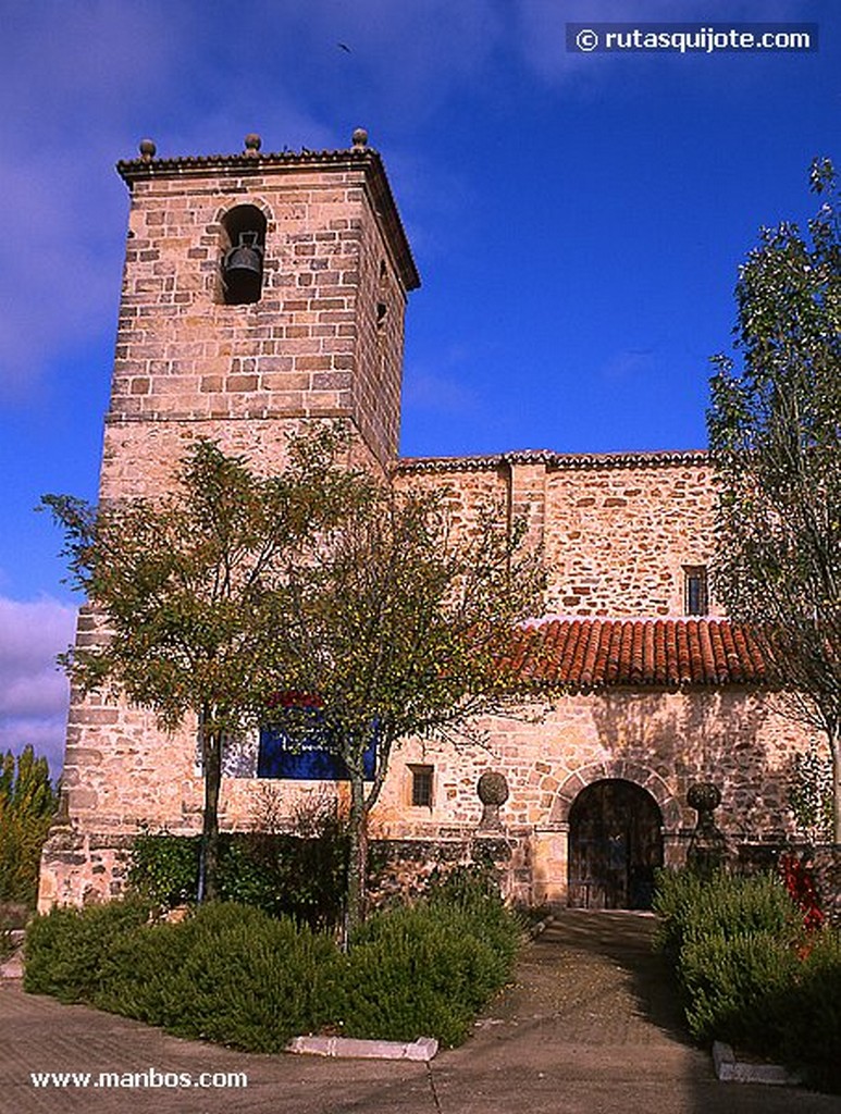 Pelegrina
Mirador de Felix Rodriguez de la Fuente
Guadalajara