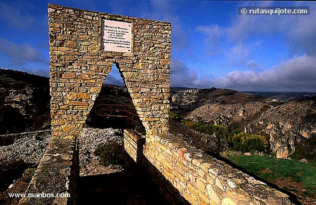 Pelegrina
Mirador de Felix Rodriguez de la Fuente
Guadalajara