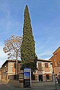 Alcala de Henares, Alcala de Henares, España