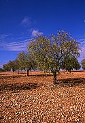 Ruta 1, Rada de Haro, España