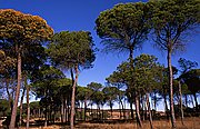 Ruta 2, Fuentelespino de Haro, España