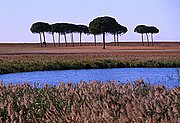 Ruta 2, Las Mesas, España