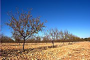 Ruta 6, Munera, España