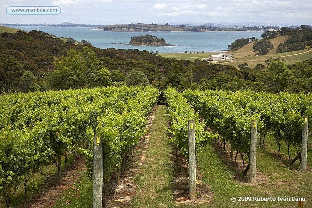 Waiheke
Waiheke
Nueva Zelanda