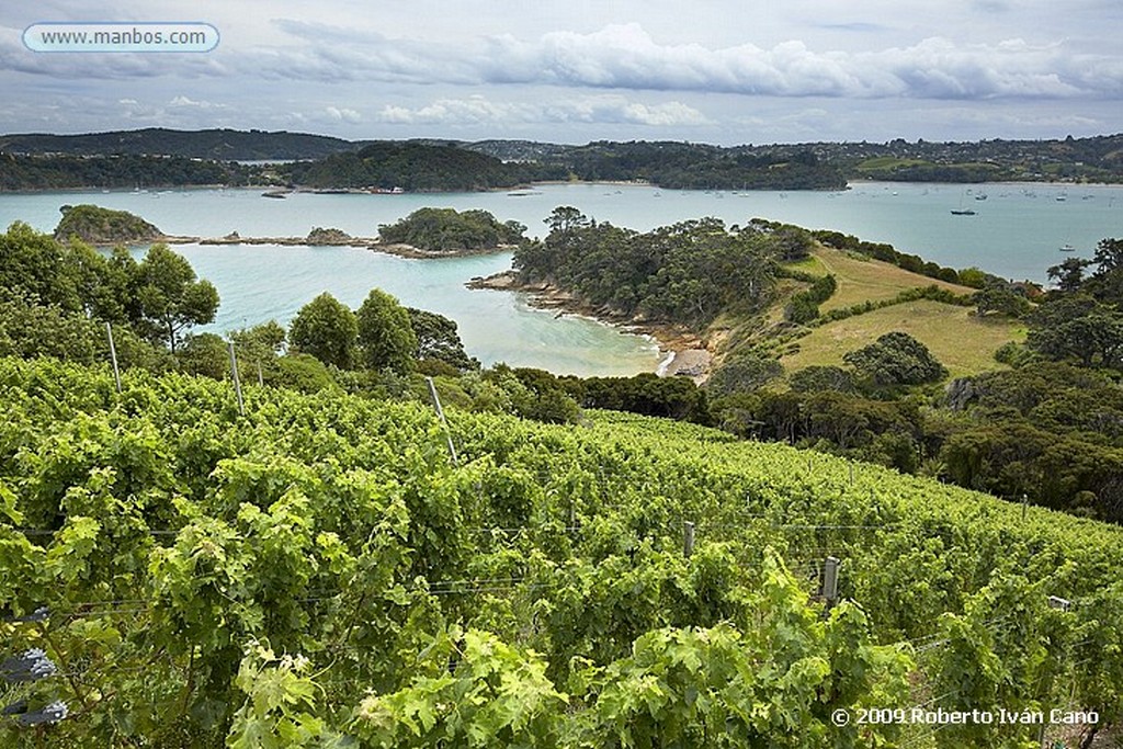 Waiheke
Waiheke
Nueva Zelanda