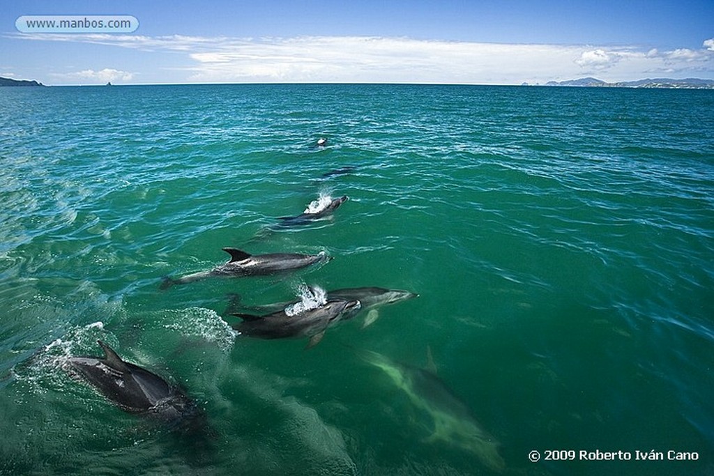 Bay of Islands
Bay of Islands
Nueva Zelanda