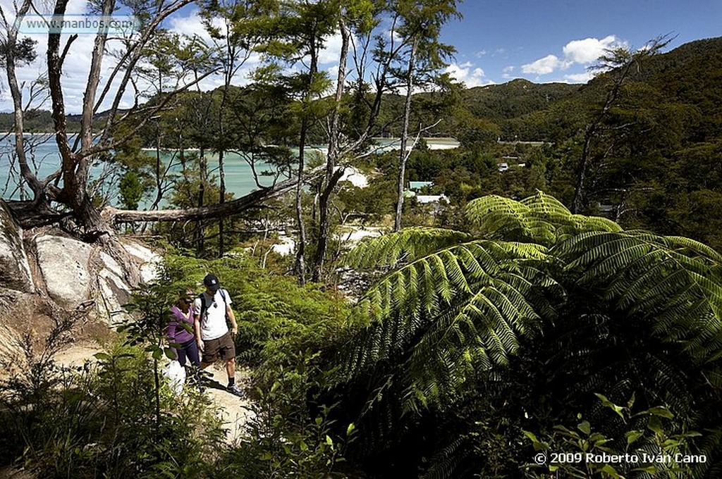 Abel Tasman
Abel Tasman
Nueva Zelanda