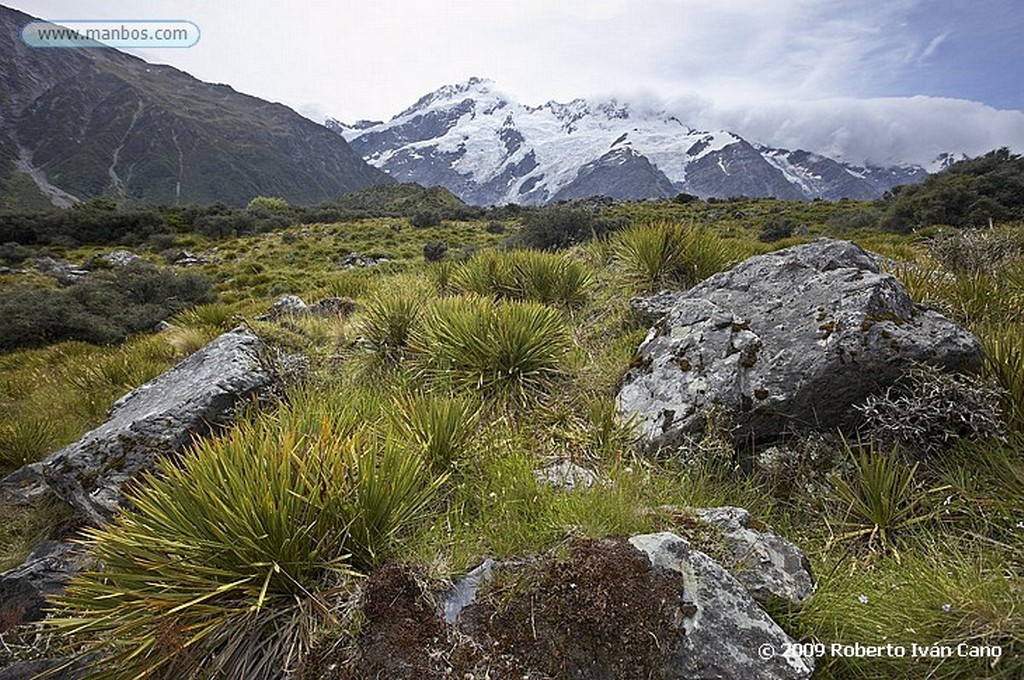 Mount Cook
Mount Cook
Nueva Zelanda