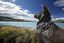 Mount Cook
Mount Cook
Nueva Zelanda