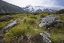 Mount Cook
Mount Cook
Nueva Zelanda