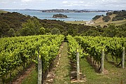 Waiheke, Waiheke, Nueva Zelanda