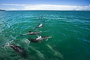 Bay of Islands, Bay of Islands, Nueva Zelanda