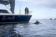 Bay of Islands, Bay of Islands, Nueva Zelanda