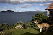 Rotorua, Rotorua, Nueva Zelanda