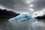 Objetivo 16 to 35
Mount Cook
Nueva Zelanda
MOUNT COOK
Foto: 18695