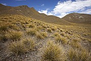 Queenstown, Queenstown, Nueva Zelanda