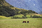 Objetivo 100 to 400
Queenstown
Nueva Zelanda
QUEENSTOWN
Foto: 18631