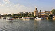 Torre del Oro, Sevilla, España