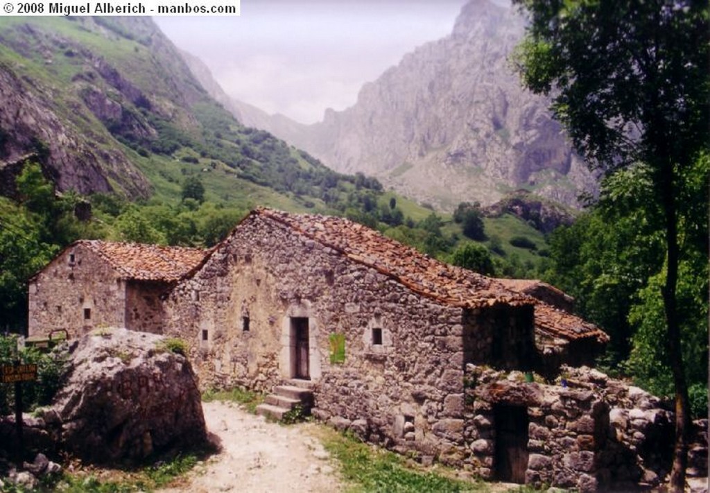 Los Lagos
Pastando
Asturias