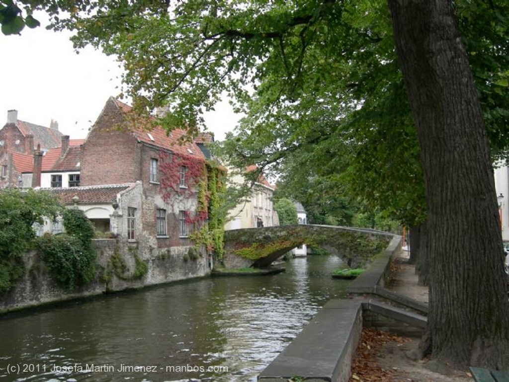 Brujas
el canal
Brujas