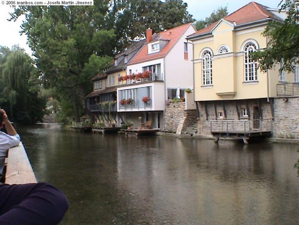 Erfurt
Rosas y avispa
Erfurt Turingia