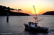 Puerto de Lekeitio, Lekeitio, España