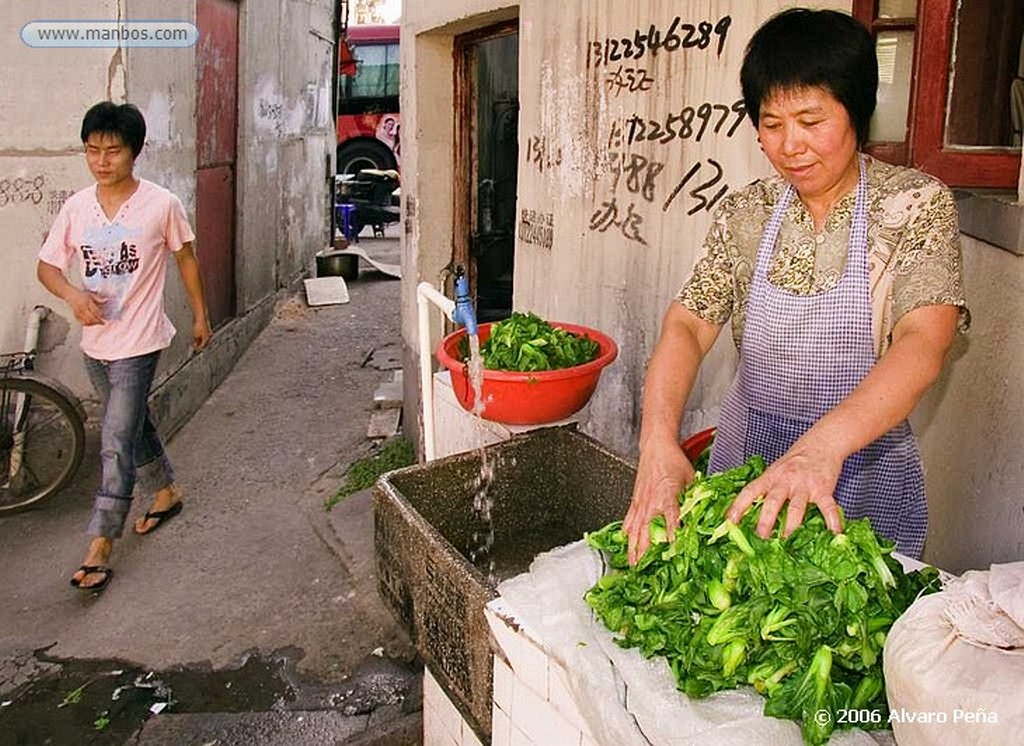 Shanghai
Fruta facil
Shanghai