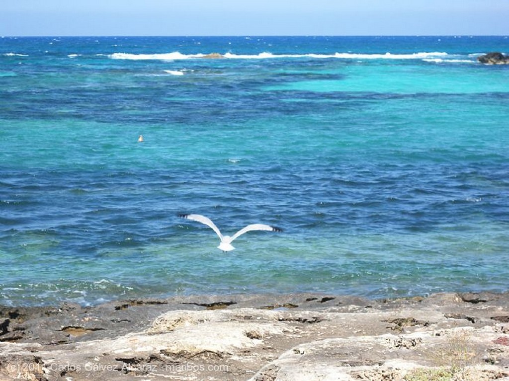 Formentera
Embarcadero ruinoso.
Islas Baleares