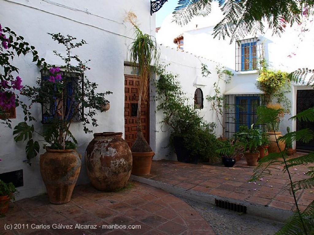 Frigiliana
Patio
Málaga