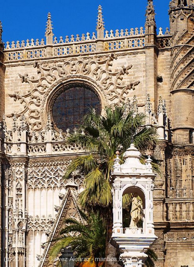 Sevilla
Catedral.
Sevilla