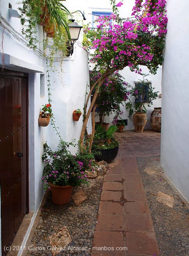 Frigiliana
Patio
Málaga