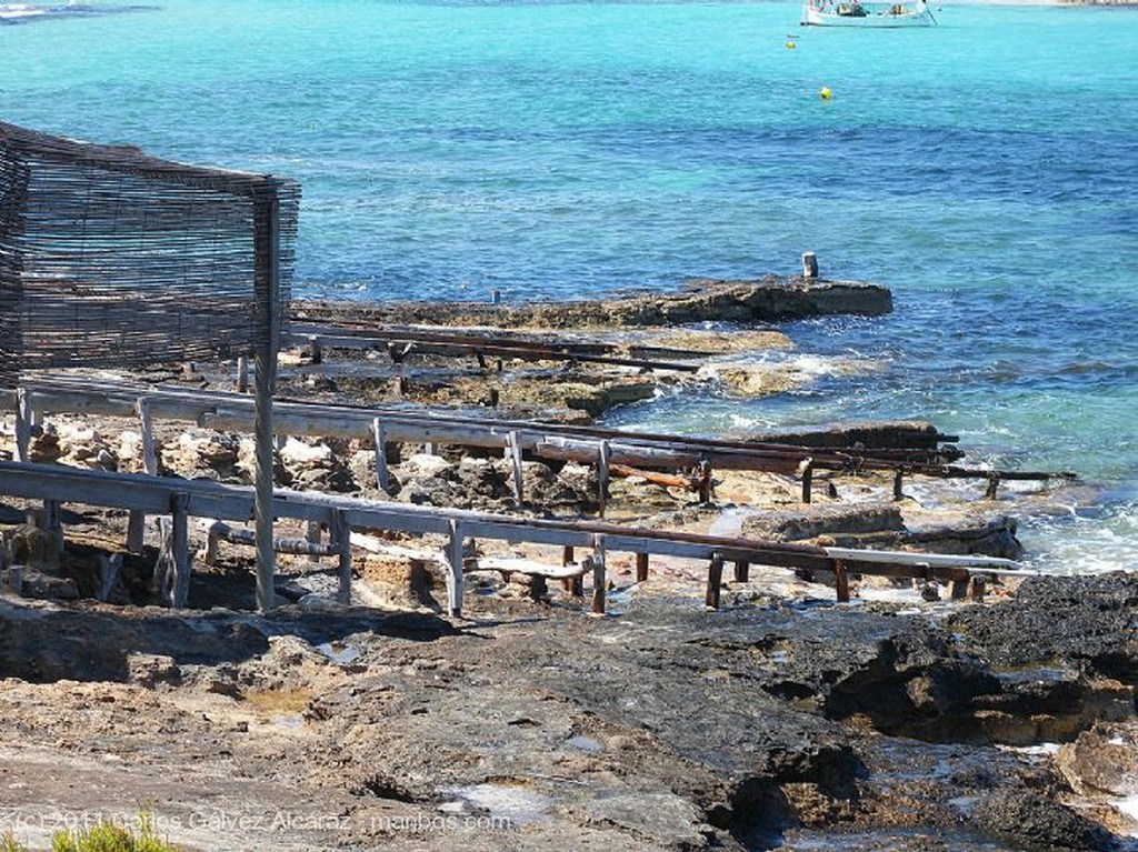 Formentera
Gaviota en vuelo.
Islas Baleares